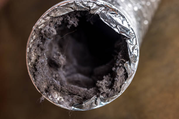 Best Affordable HVAC Duct Cleaning  in Campton Hls, IL
